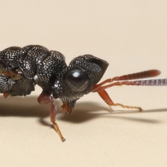 Unverified at suppressed - suppressed