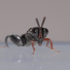 Unverified at suppressed - suppressed