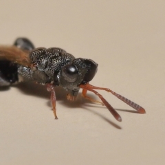 Unverified at suppressed - suppressed