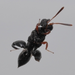 Unverified at suppressed - suppressed