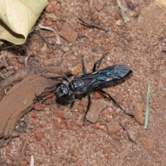 Unverified at suppressed - suppressed