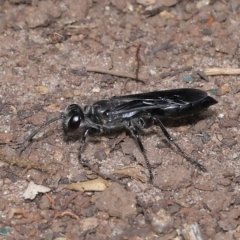 Unverified at suppressed - suppressed