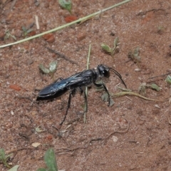 Unverified at suppressed - suppressed