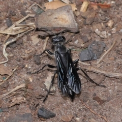 Unverified at suppressed - suppressed