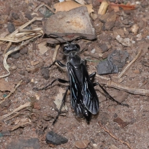 Unverified at suppressed - suppressed