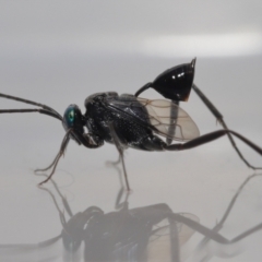 Unverified at suppressed - suppressed