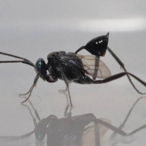 Unverified at suppressed - suppressed