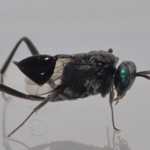 Unverified at suppressed - suppressed