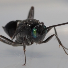 Unidentified at suppressed - 5 May 2023