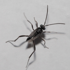 Unidentified at suppressed - 5 May 2023