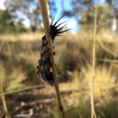 Unidentified at suppressed - 6 May 2023