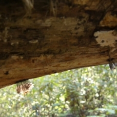 Unidentified at suppressed - 19 Mar 2023