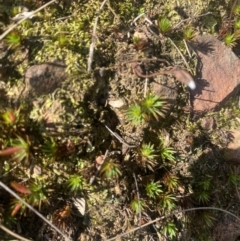 Unverified at suppressed - suppressed