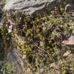 Unverified at suppressed - suppressed