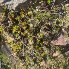 Unverified at suppressed - suppressed