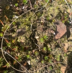 Unverified at suppressed - suppressed