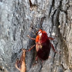 Unverified at suppressed - suppressed