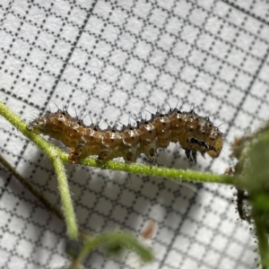Unidentified at suppressed - 16 May 2023