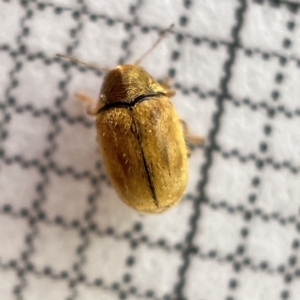 Unverified at suppressed - suppressed