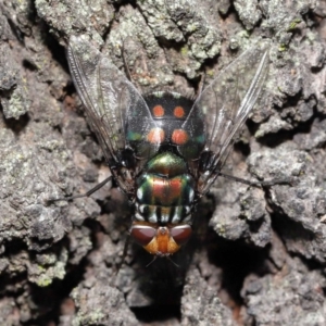 Unidentified at suppressed - 14 May 2023