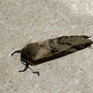 Unidentified at suppressed - 16 May 2023