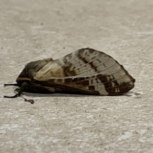 Unidentified at suppressed - 16 May 2023