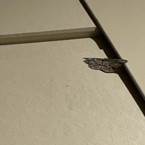 Unidentified at suppressed - 16 May 2023