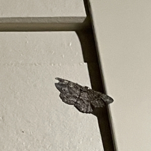 Unidentified at suppressed - 16 May 2023