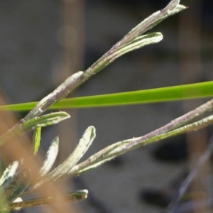 Unidentified at suppressed - 5 May 2023
