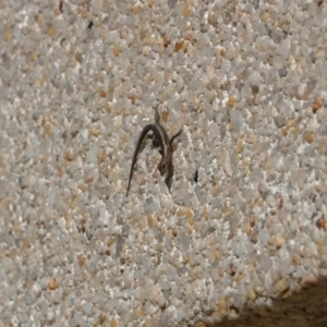 Unidentified at suppressed - 18 May 2023