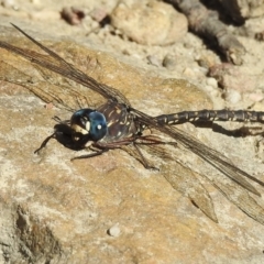 Unidentified at suppressed - 18 May 2023