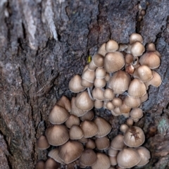 Unidentified at suppressed - 17 May 2023