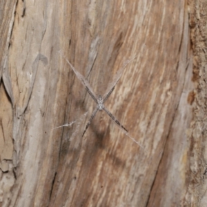 Unidentified at suppressed - 14 May 2023