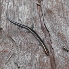 Unidentified at suppressed - 23 Apr 2023