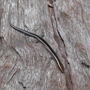 Unidentified at suppressed - 23 Apr 2023