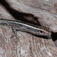 Unidentified at suppressed - 23 Apr 2023