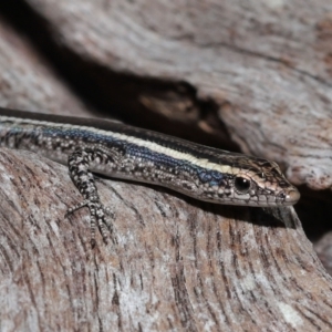 Unidentified at suppressed - 23 Apr 2023