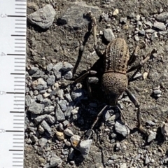 Unidentified at suppressed - 22 May 2023