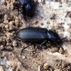 Unidentified at suppressed - 25 May 2023
