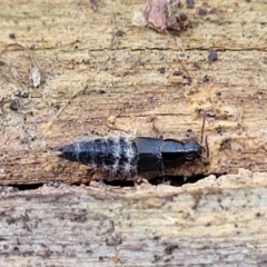 Unidentified at suppressed - 25 May 2023