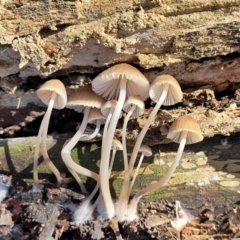Unidentified at suppressed - 25 May 2023