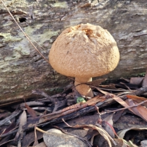 Unidentified at suppressed - 25 May 2023