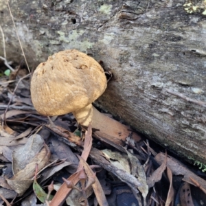 Unidentified at suppressed - 25 May 2023