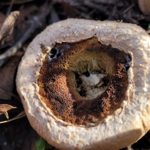 Unidentified at suppressed - 25 May 2023