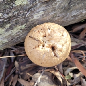 Unidentified at suppressed - 25 May 2023