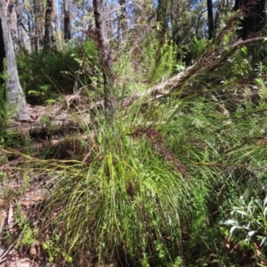 Unidentified at suppressed - 24 May 2023