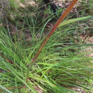 Unidentified at suppressed - 24 May 2023