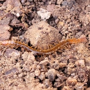 Unidentified at suppressed - 25 May 2023