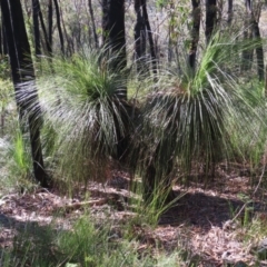 Unidentified at suppressed - 24 May 2023