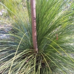 Unidentified at suppressed - 24 May 2023
